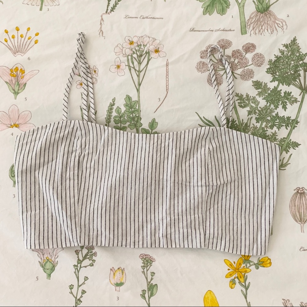 NWT Brandy Melville Crop Top